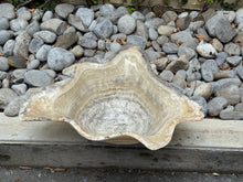 Cargar imagen en el visor de la galería, Bowl claro