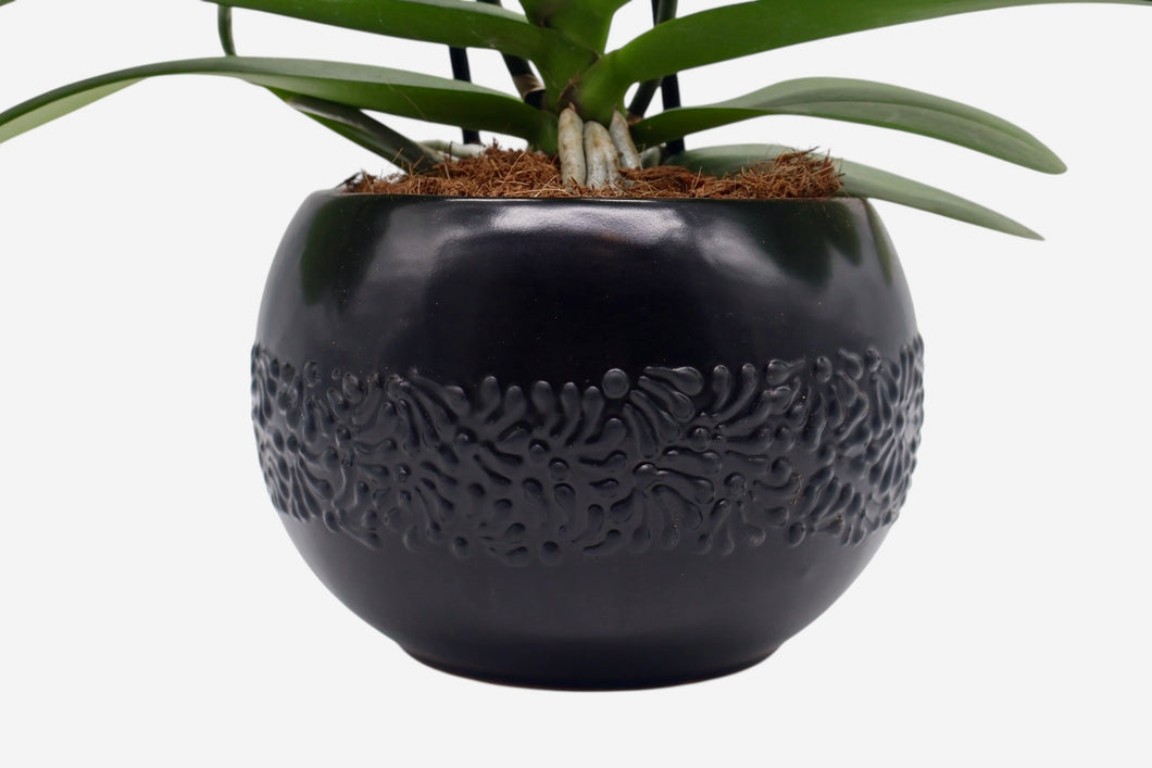 Maceta Negra Estilo Talavera