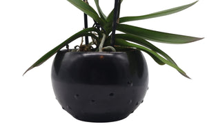 Maceta Negra Estilo Talavera
